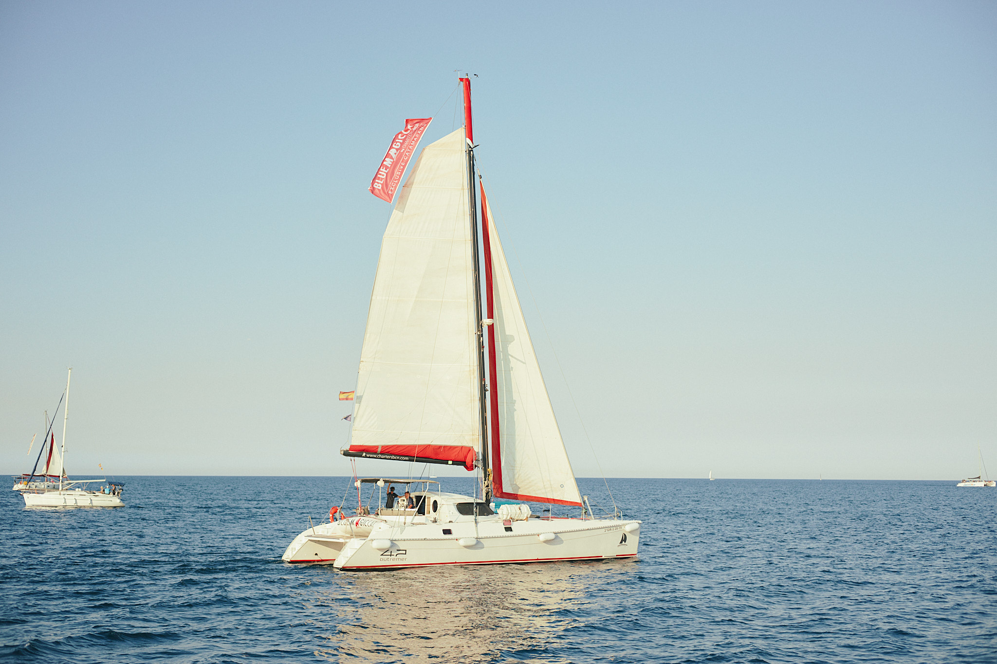 BlueMagicCat Premium